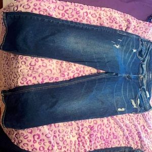 Sliver Sukiyaki Capri